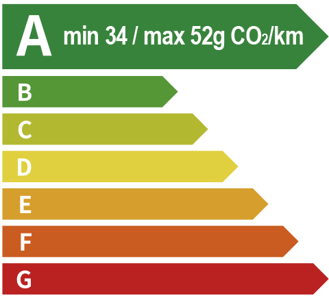 尊龙时凯 EV Energy Level Label